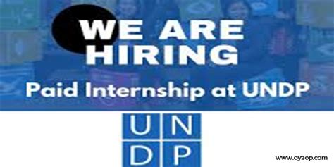 Undp Project Procurement Analyst Paid Internship Apply Now Oya