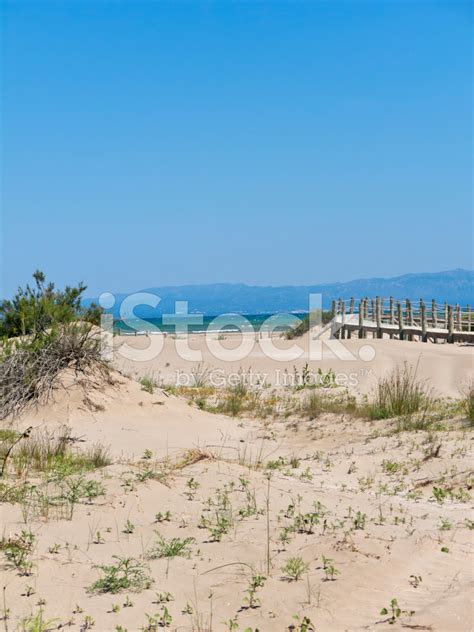 Walkway On The Beach. Ebro River Delta. Stock Photo | Royalty-Free ...