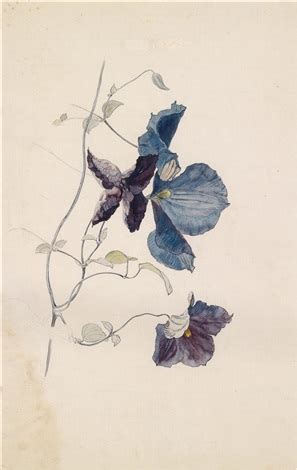 Blaue Clematis By Rudolf Ribarz On Artnet