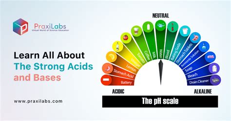 Learn All About The Strong Acids And Bases Praxilabs