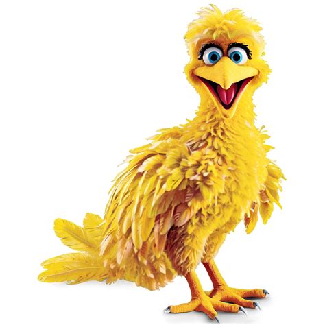 Download Big Bird Png Nvr