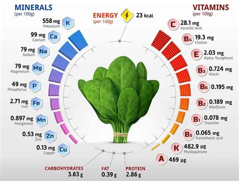 Health Benefits Of Spinach: An Impressive Superfood