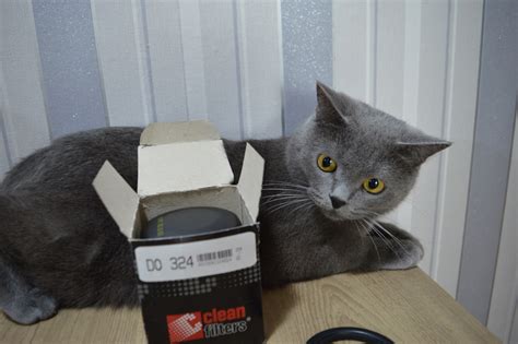 Распил масляного фильтра CLEAN FILTERS DO324. — Hyundai Solaris (1G), 1 ...