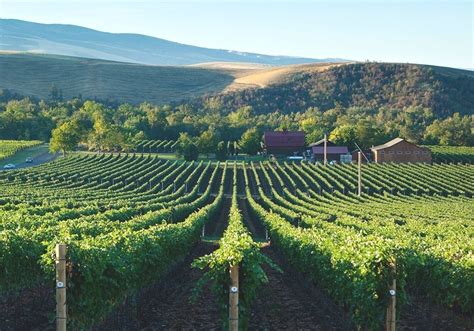 Washington Wine Best Washington State Wineries