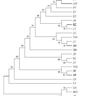 Phylogenetic Tree Based On MtDNA Control Region Sequences For The 26