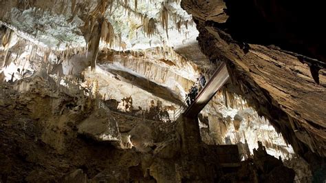 La Grotte De Postojna Le Parc De La Grotte De Postojna Bienvenue