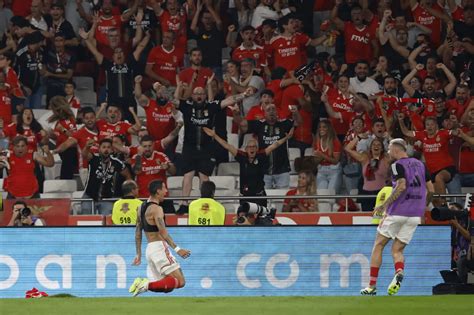 Pronostic Toile Rouge Belgrade Benfica Analyse Cotes Et Prono Du