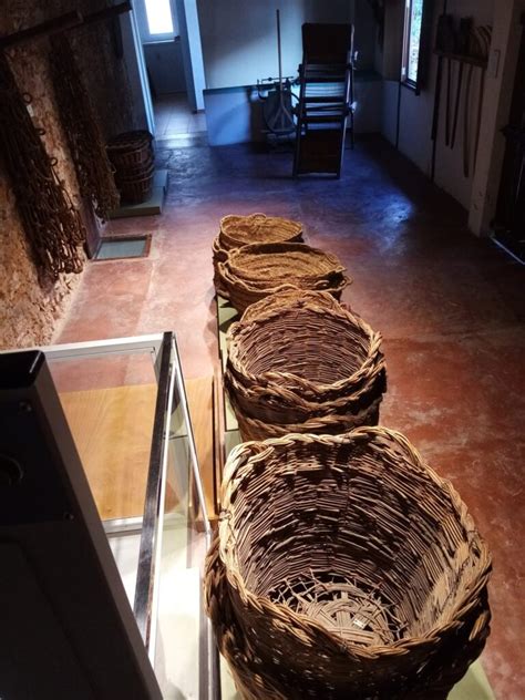 Visita Al Museo Comarcal De L Horta Red Valenciana