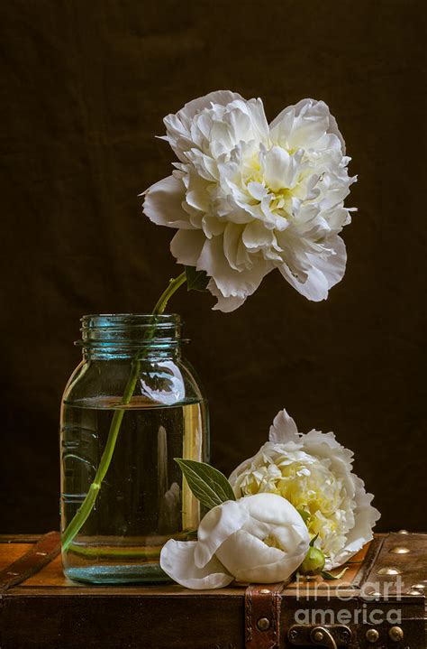 Remembrance Photograph By Edward Fielding Fine Art America