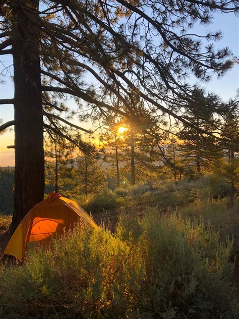 Los Padres National Forest Camping Up And Down The Central Coast