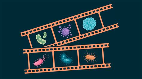 Les épidémies en stop motion S V T Diderot