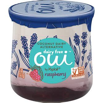 Oui By Yoplait Dairy Free Coconut Yogurt Alternative Raspberry Oz