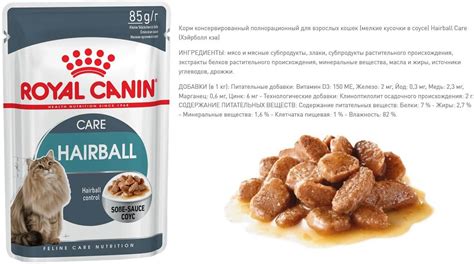 Royal Canin (Роял Канин): обзор корма для кошек, состав, отзывы