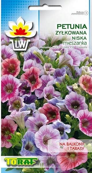 PETUNIA NISKA ŻYŁKOWANA PETUNIA MULTIFLORA F2 HYBRIDS MIX NASIONA 0 1