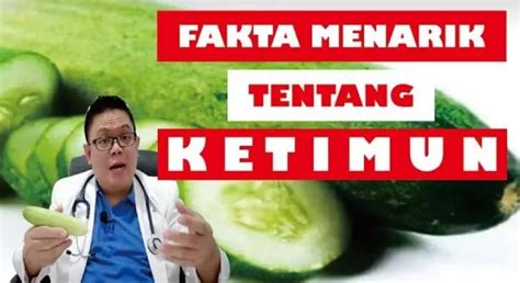 Fakta Fakta Menarik Ketimun Yang Kaya Air Selain Di Jadikan Acar Juga