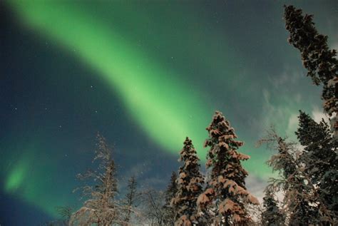 Northern Lights Tours in Lapland | Scandinavian Travel Group