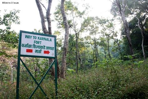 Karnala Bird Sanctuary Panvel Trek Wannabemaven