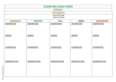 CLASSIFYING LIVING THINGS: English ESL worksheets pdf & doc