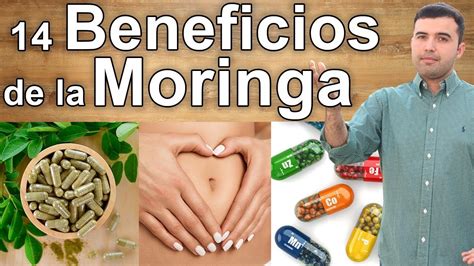 Para Que Sirve La Moringa 14 Beneficios Que Debes Conocer YouTube