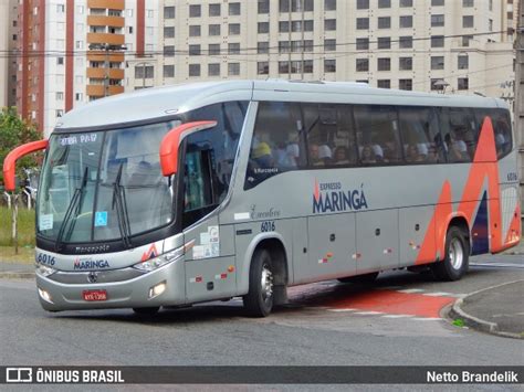 Expresso Maringá 6016 em Curitiba por Netto Brandelik ID 9659789