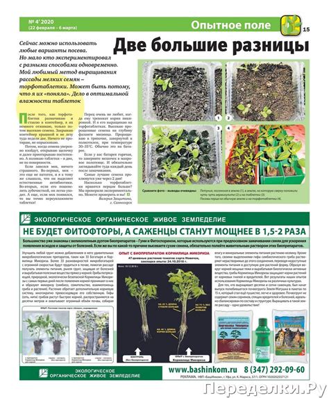 Дача № 4 февраль 2020 * Переделки.РуПеределки.Ру
