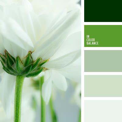 цвет серебра | IN COLOR BALANCE