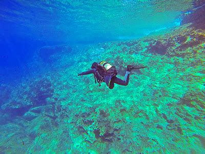 Royalty Free Photo Man Wearing Black And Red Diving Suit Underwater