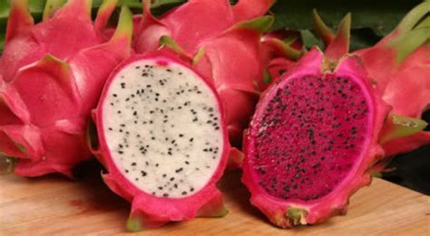 Pitaya o fruta del dragón propiedades y beneficios ECOagricultor