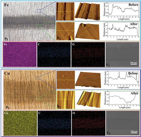 The Surface Morphologies And The Elemental Analyses On Metal