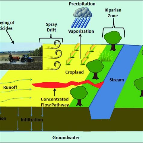 Schematic Of Pesticide Fate And Transport After Application In An