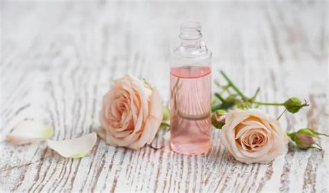 Diy Perfumes 30 Ways To Make Your Own Perfume Without Chemicals