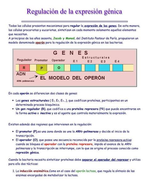 Expresi N G Nica En Procariontes Aprende Todo De Medicina Udocz