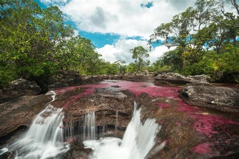 3-Day Caño Cristales (Rainbow River) from Bogotá 2022 - Viator