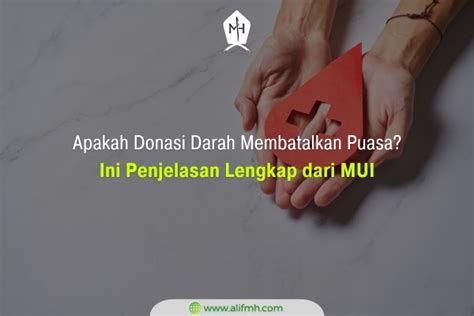 Apakah Donasi Darah Membatalkan Puasa Ini Penjelasan Lengkap Dari Mui