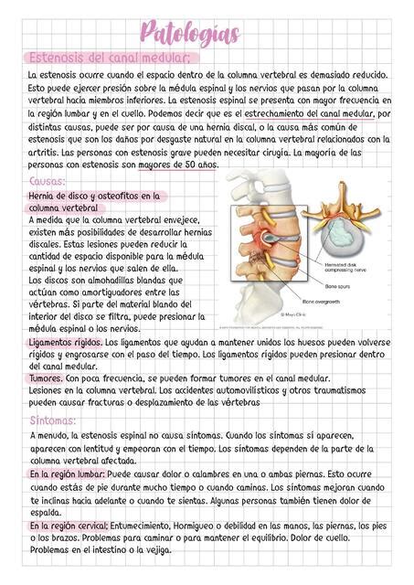 Patolog As Columna Vertebral Y Caja Tor Cica Al Sharito Udocz