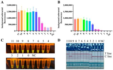 Viruses Free Full Text On Site And Visual Detection Of The H5