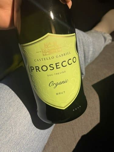 Castello Gabriel 1503 Prosecco Organic Brut Vivino US