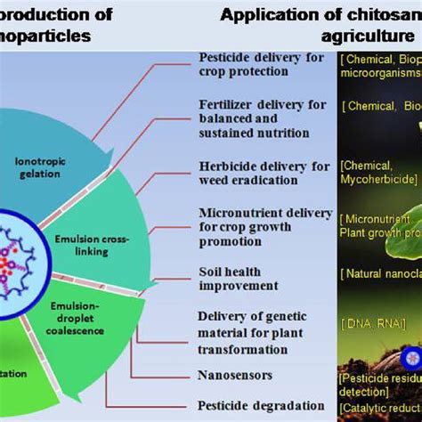 PDF Chitosan Nanoparticle Based Delivery Systems For Sustainable