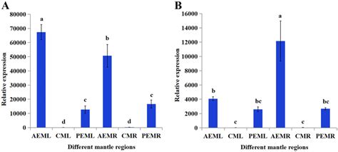 Relative Expression Levels Of Tyr A And Typ 2 B Among Different