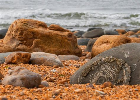 The Ultimate Guide To The Jurassic Coast Lonely Planet