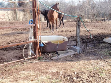 Utah Automatic Horse Waterer Bar Bar A Barbara Horse And Livestock Waterers