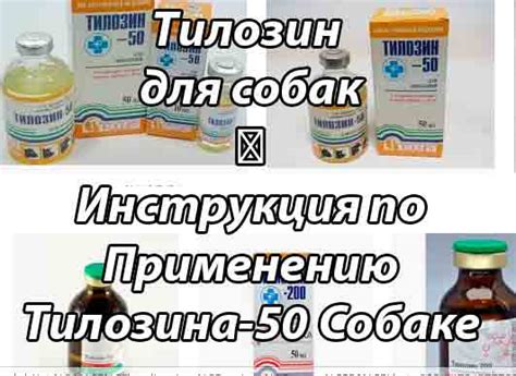 Тилозин 50 и 200: инструкция по применению в ветеринарии для лечения ...