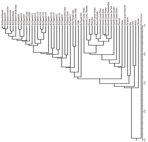 Dendrogram Showing The Diversity Of The Cuban Pineapple Germplasm