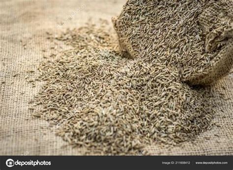 Catch Brown Cumin Seeds 250 Gm At Rs 440 Kilogram In Unjha ID