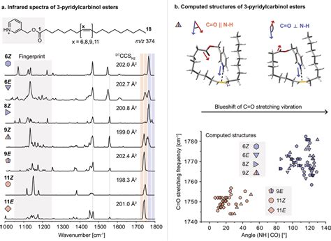 Gas Phase Infrared Spectra Collision Cross Sections And Structures Of