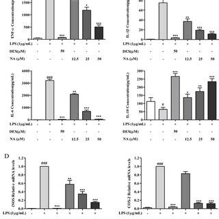 Nervonic Acid Inhibited Pro Inflammatory Cytokine Production In