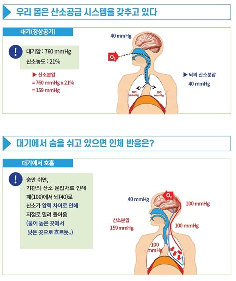 건설기초안전교육