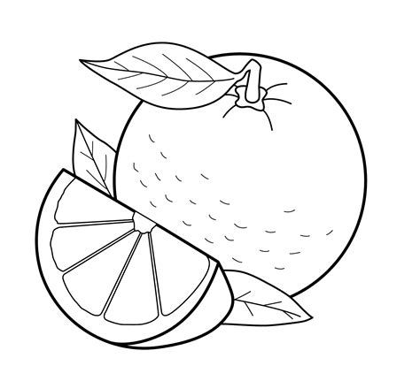 Free Fruit Coloring Pages for Kids