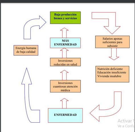 Ciclo Econ Mico De La Salud Y Enfermedad Explicacionme Ayudan Por Favor