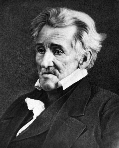 Andrew Jackson Portrait Image Free Stock Photo Public Domain Photo